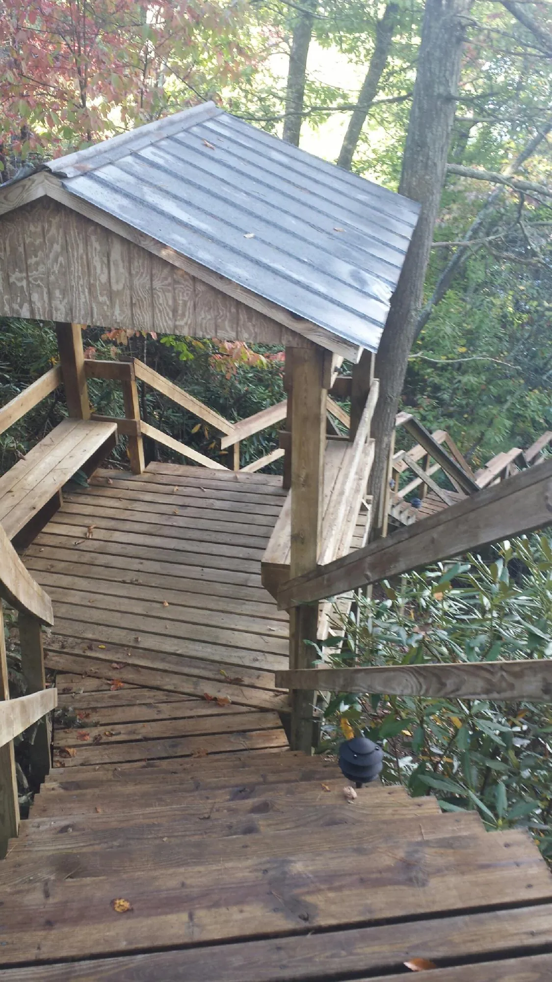 Metal roofed shelter over wooden steps on a wooded walkway — Skylight Repair & Installation work by our crew in Corunna