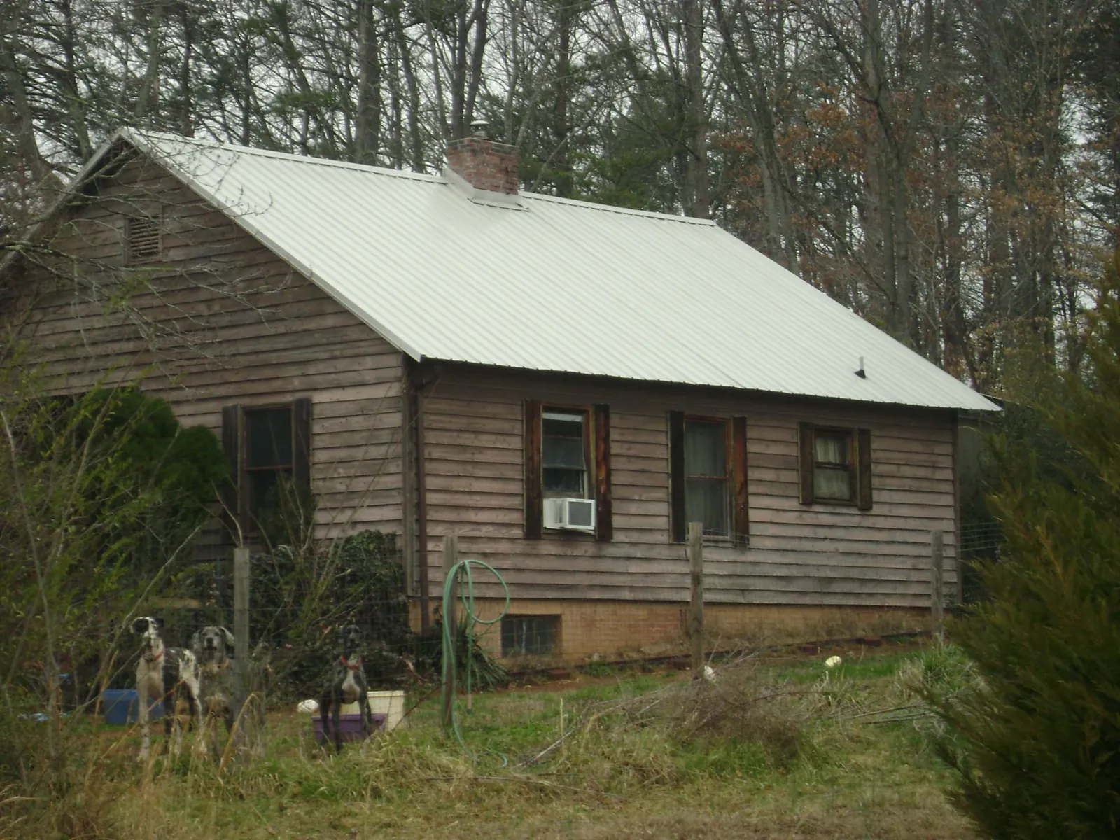 White metal roof on an old wood sided farmhouse, from a Asphalt Shingle Roof Repair job in Corunna